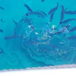 Il Vicolo 4* Milazzo
